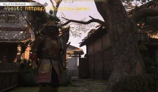 Sollten Sie Lady Oichi in Assassin's Creed Shadows verschonen ode