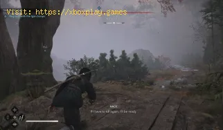 So überspringen Sie Intro-Videos in Assassin's Creed Shadows