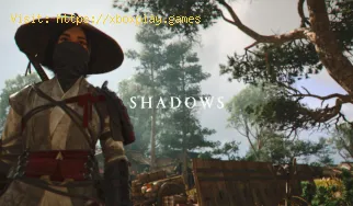 So beheben Sie, dass die Schattentextur von Assassin's Creed nich