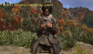 So beheben Sie das Problem „Assassin's Creed Shadows: Ausrüstu