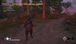 So erhalten Sie die Master-Shinobi-Trophäe in Assassin's Creed S