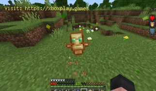 So erhalten Sie das Totem der Unsterblichkeit in Minecraft