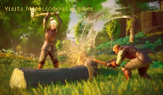 How to Get Iron Pickaxe in RuneScape Dragonwilds
