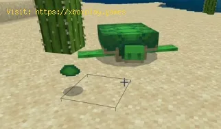 So erhalten Sie den Schildkrötenpanzerhelm in Minecraft