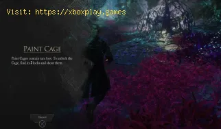 Save File Location in Clair Obscur Expedition 33