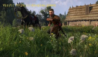 So erhalten Sie Brunswicks Rüstung in Kingdom Come Deliverance 2