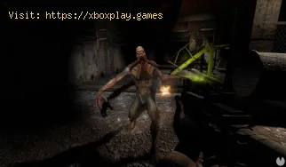 Cómo curar y detener el sangrado en Stalker Legends Of The Zone