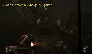 How To Get Ethereal Cobwebs in Tainted Grail The Fall of Avalon