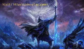 Why is there no voice chat in Elden Ring Nightreign