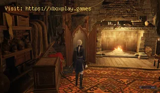 How to Unlock the dresser in Elden Ring Nightreign