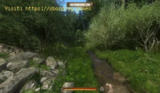 Wo man Baldrian in Kingdom Come Deliverance 2 findet