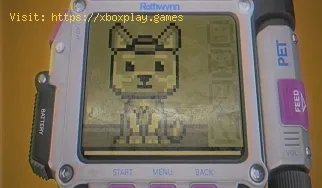 Call Of Duty Modern Warfare: Comment incuber vos Tamagotchi