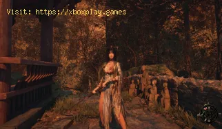 Wie man in Wuchang Fallen Feathers einen Hinterhalt anrichtet