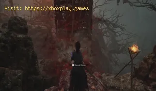So verwenden Sie rotes Quecksilber zum Levelaufstieg in Wuchang Fallen