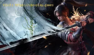 Beste PC-Einstellungen in Wuchang Fallen Feathers