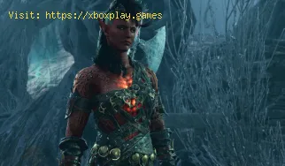 Cómo conseguir la competencia en armadura pesada en Baldur's Gat