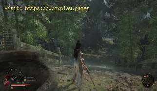 So erhalten Sie Bitter Severance in Wuchang Fallen Feathers