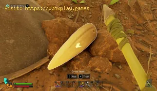Comment trouver des graines de gazon dans Grounded 2