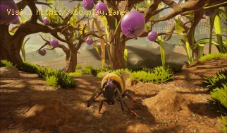 Comment obtenir du cuir de myrtille dans Grounded 2