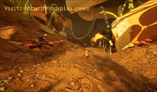 Comment apprivoiser et piloter un Buggy dans Grounded 2