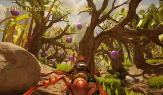 Comment cuisiner dans Grounded 2