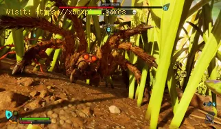 Emplacements des araignées-loups dans Grounded 2