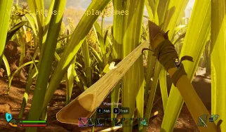 Comment obtenir des tiges de cannabis en Grounded 2