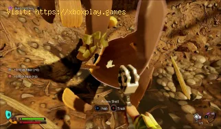 Comment obtenir Omni-Hammer niveau 2 dans Grounded 2
