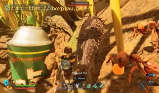 Où trouver des touffes d'asclépiade en Grounded 2