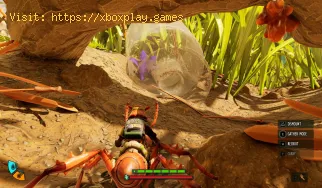 Comment obtenir des pétales de fleurs dans Grounded 2