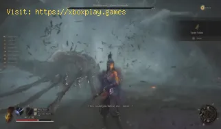 So erhalten Sie Taoist-Token in Wuchang Fallen Feathers