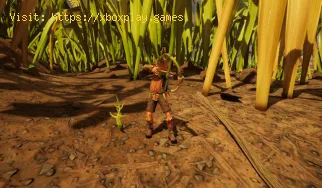 Cómo hacer todos los arcos y flechas en Grounded 2