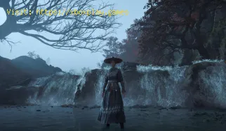 So erhalten Sie die Draconic Resurgence Robe in Wuchang Fallen Feather