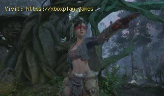 So erhalten Sie die Hose des Vogeljägers in Wuchang Fallen Feathers