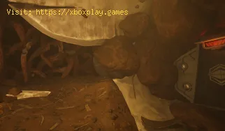 Cómo conseguir Mintito en Grounded 2