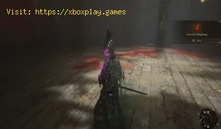 So erhalten Sie die weißen Spectre-Shin Wraps in Wuchang Fallen Feath