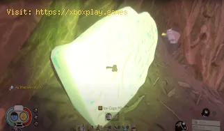 Cómo conseguir fragmentos de menta en Grounded 2