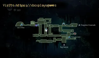 Wohin geht es, nachdem man Hornet in Hollow Knight besiegt hat?