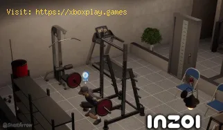 So kaufen Sie Fitnessgeräte bei Inzoi