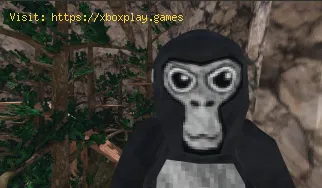 Cómo conseguir mods en Gorilla Tag en Monke Mod Manager