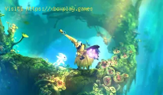 Ori and the Will of the Wisps: Comment équiper les compétences et le