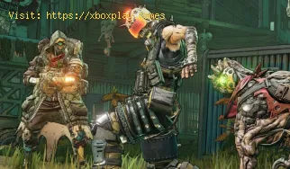 So beheben Sie Borderlands 4. Ihre Einstellungen konnten nicht gespeic