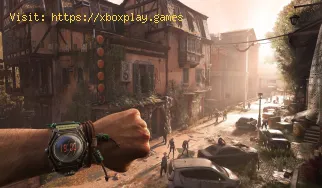 Wo finde ich die Sicherungsdatei in Dying Light The Beast?