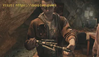 Wo finde ich den Enterhaken in Dying Light The Beast?