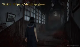 Cómo aumentar la capacidad de carga en Silent Hill f