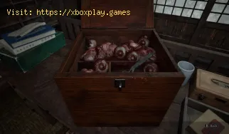So greifen Sie auf die Schublade im Haus des Doktors in Silent Hill F 