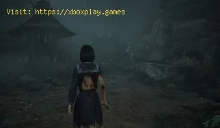 So aktivieren Sie Frame Gen in Silent Hill F