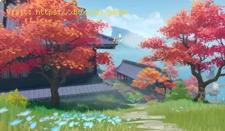 Come ottenere il legno d'acero in Genshin Impact