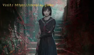 Come trovare il diario di un ragazzo determinato in Silent Hill f