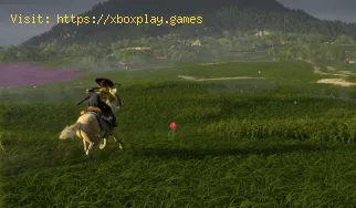 Comment obtenir un cheval dans Ghost of Yotei